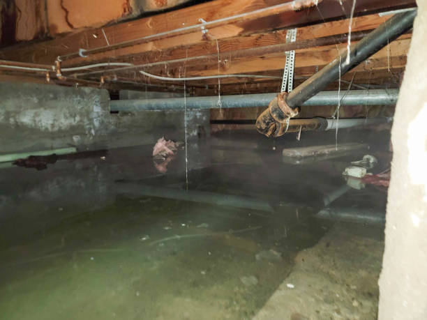 Best Water damage restoration near me  in Poolesville, MD