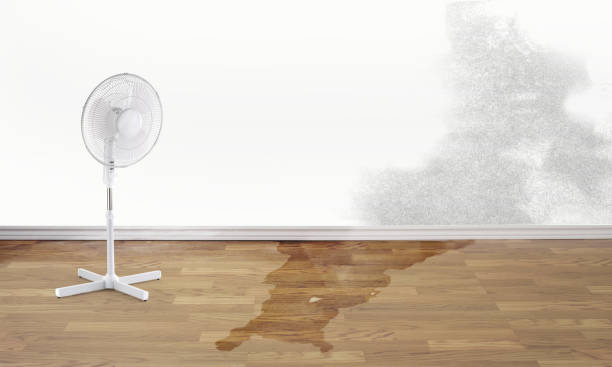 Best 24-hour water damage restoration  in Poolesville, MD