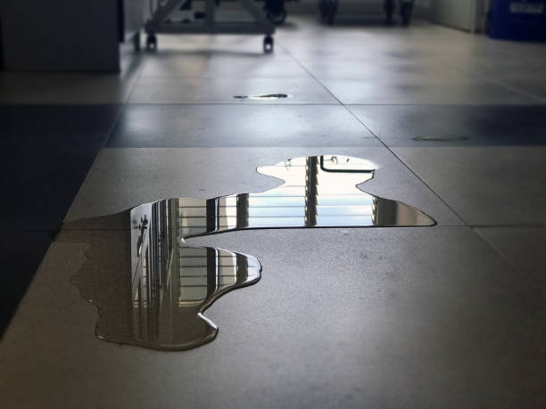 Best Water damage restoration process  in Poolesville, MD