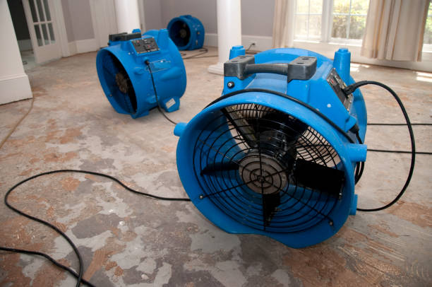Best Flooded house restoration  in Poolesville, MD