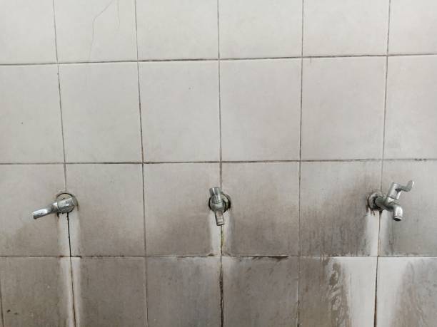 Best Basement water damage restoration  in Poolesville, MD