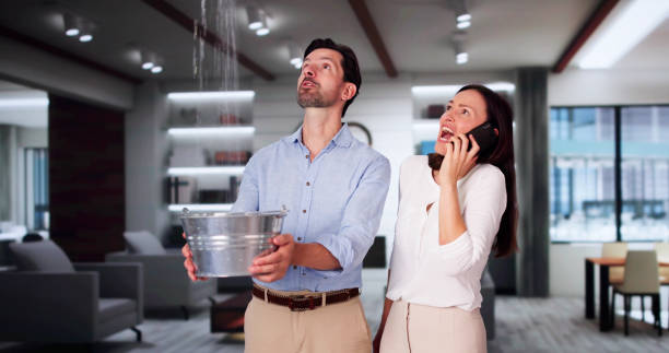 Best Local water damage restoration  in Poolesville, MD