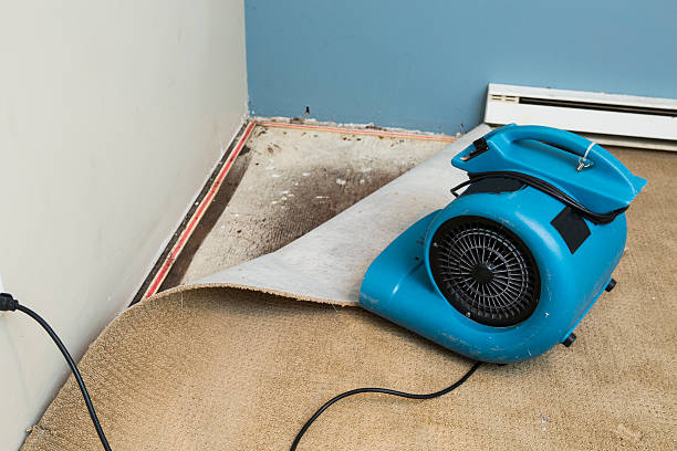 Best Flooded house restoration  in Poolesville, MD